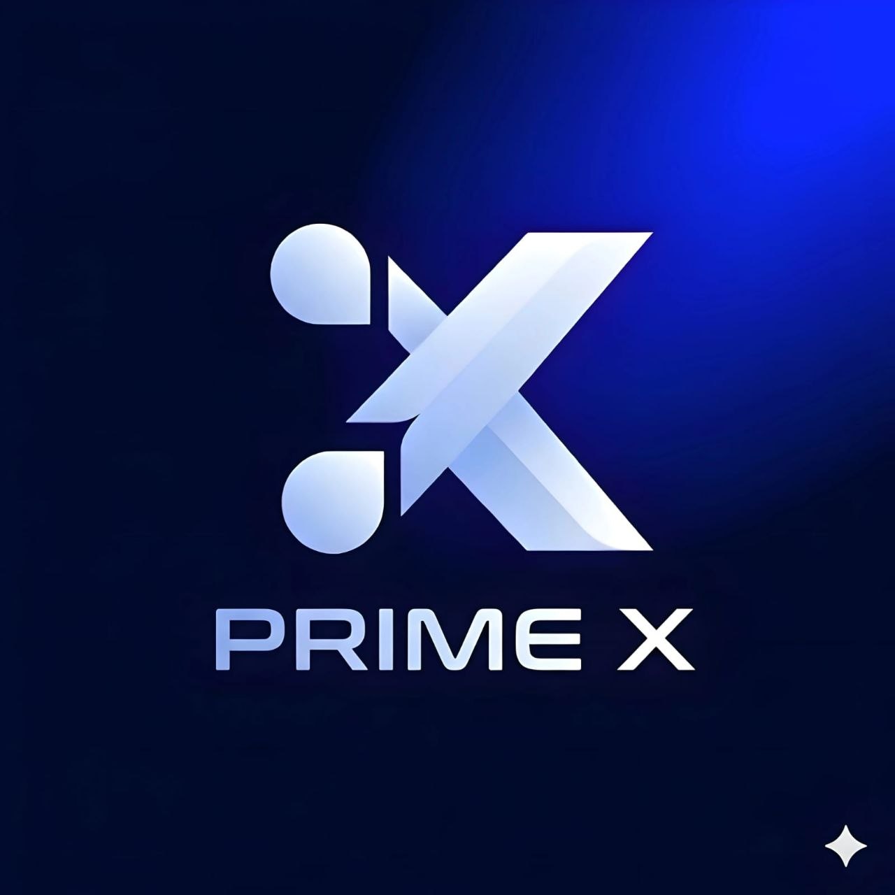 PrimeX Logo